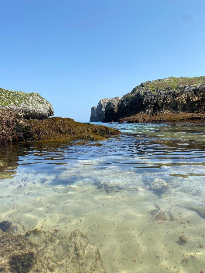 La Casa De Hierba - Casa De Campo De Diseno Con Jardin Y Wifi Cerca De Las Playas De Llanes Zewnętrze zdjęcie
